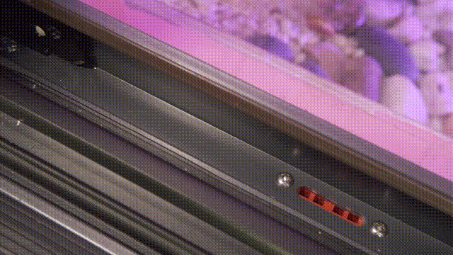 646.gif